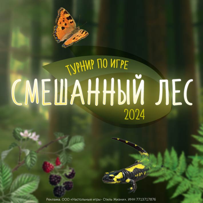 Турнир Смешанный лес